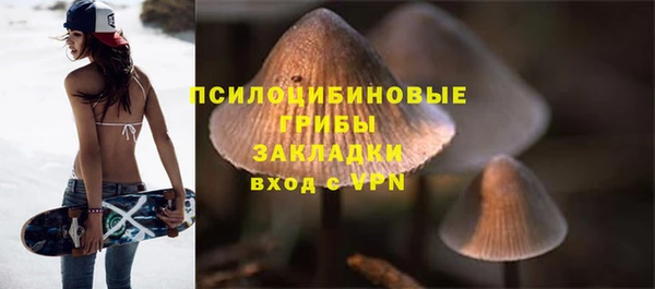 эйфоретик Мегион