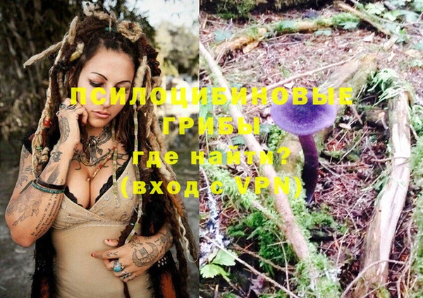 эйфоретик Мегион