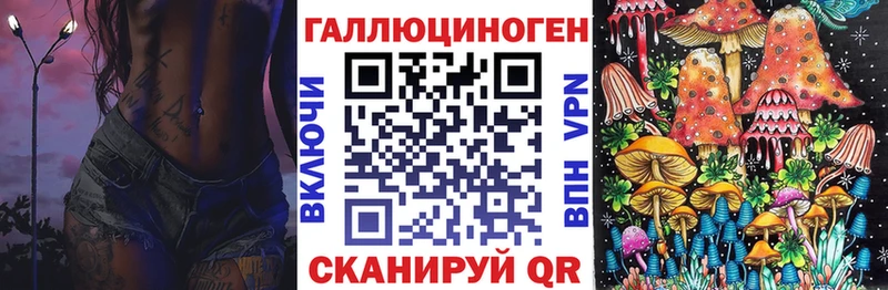 закладки  Зверево  ссылка на мегу онион  Псилоцибиновые грибы GOLDEN TEACHER 